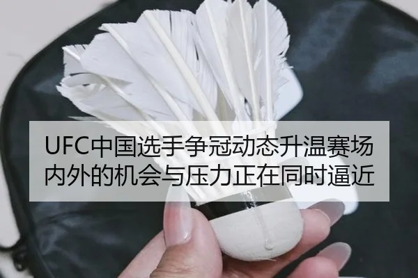 UFC中国选手争冠动态升温赛场内外的机会与压力正在同时逼近